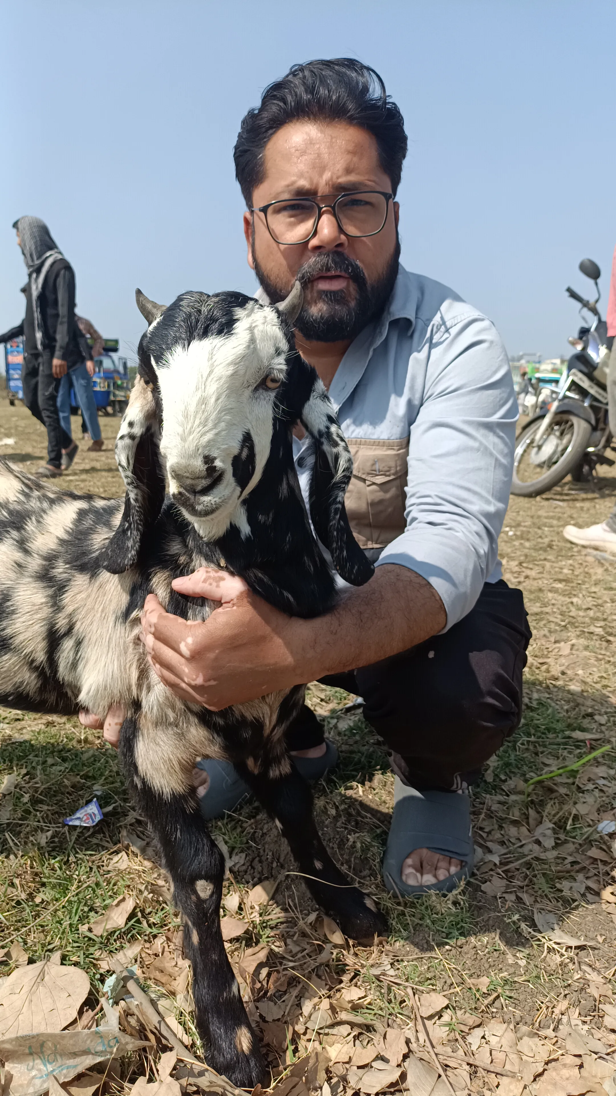 bakra image