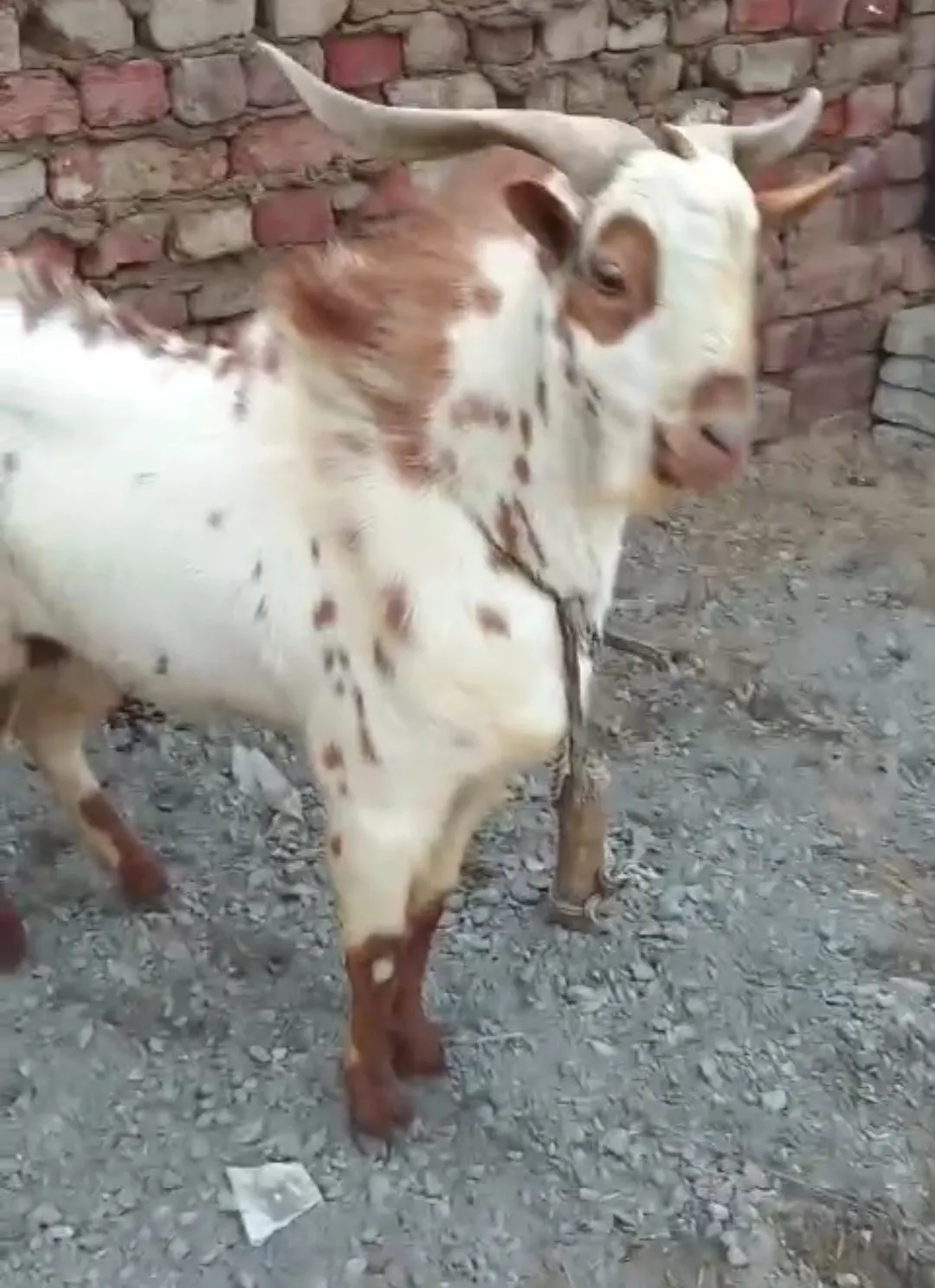 Transport k saath 27000