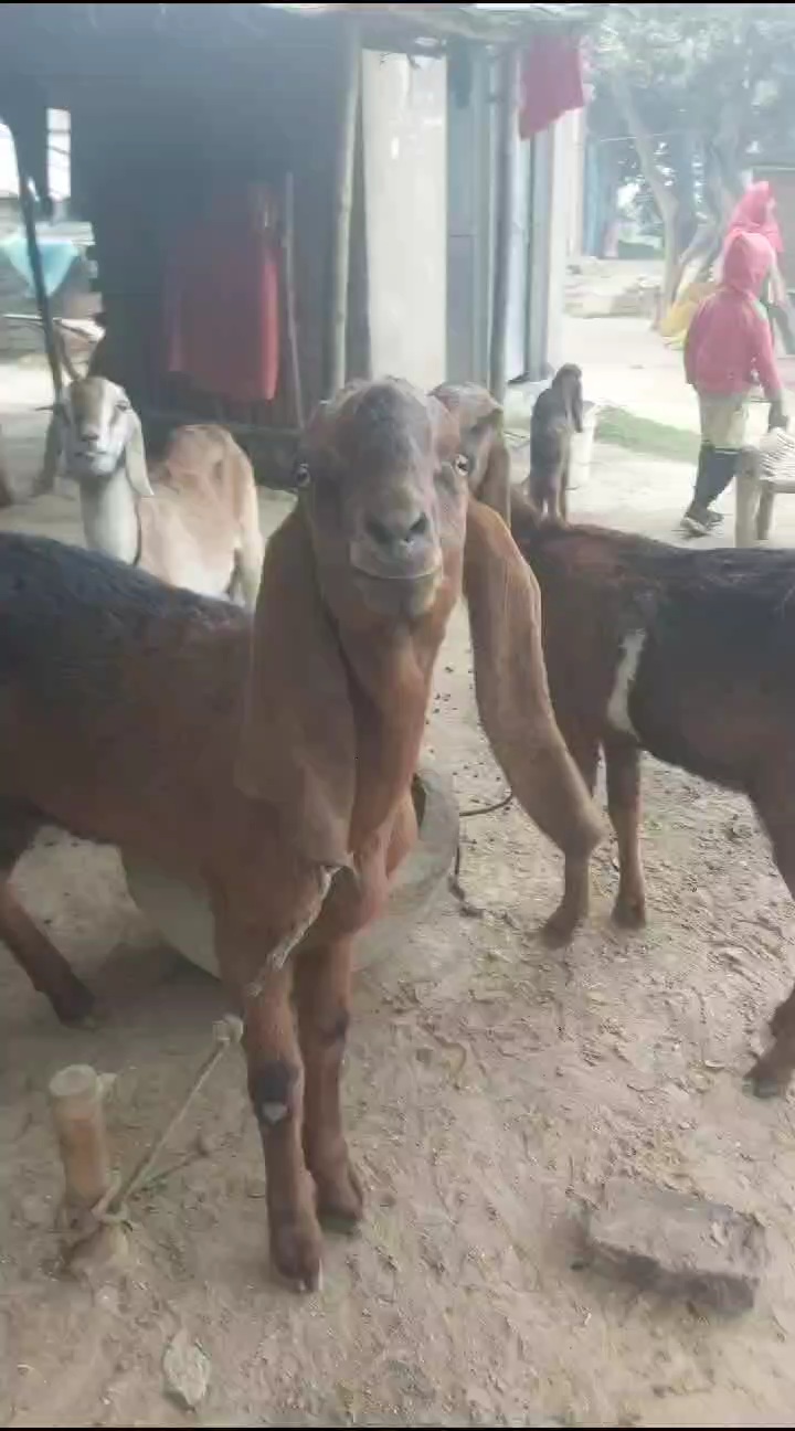 Lot for sale UP sirf 16000 